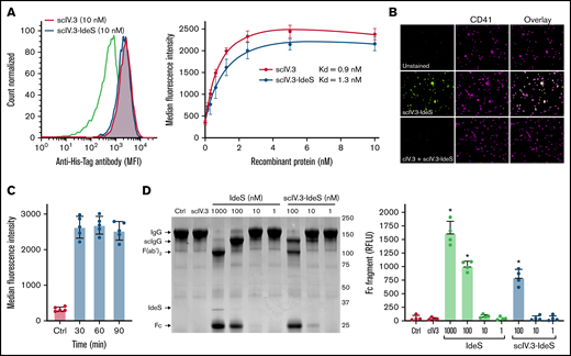 Generation and characterization of recombinant scIV.3-IdeS. (A) Increasing concentrations of His-tagged scIV.3-IdeS or scIV.3 were incubated with human platelets and then stained with a fluorescently labeled anti-His Tag antibody and analyzed by flow cytometry (n = 4). (B) Microscopic images (60× objective) of platelets spread on fibrinogen treated with control or cIV.3 and costained with scIV.3-IdeS (5 nM) and an anti-CD41 antibody. (C) Surface-bound scIV.3-IdeS was quantified by flow cytometry every 30 minutes for 90 minutes. (D) Representative Coomassie-stained gel used to evaluate IgG cleavage after the incubation of IgG with predetermined concentrations of scIV.3, Ides, or scIV.3-IdeS. IdeS cleaves IgG in a 2-step process, first generating a single-cleaved IgG (scIgG) and then a double-cleaved F(ab′)2. The cleaved Fc fragment was quantified as a measure of IdeS activity. The relative fluorescence units of the Fc fragment were reported for 4 independent experiments (data given as mean ± standard deviation). *P < .05. RFLU, relative fluorescence units.