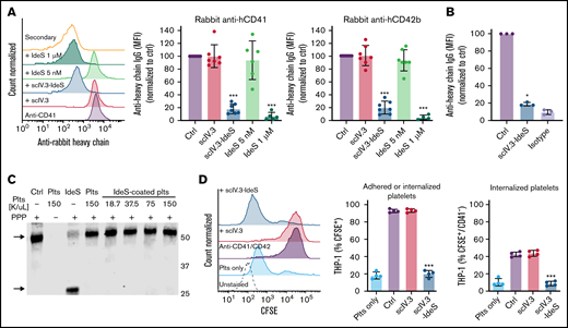 scIV.3-IdeS bound to platelet FcγRIIA cleaves antiplatelet antibodies and prevents in vitro phagocytosis. (A) Platelets treated with scIV.3 (5 nM), IdeS, and scIV.3-IdeS (5 nM) were incubated with rabbit anti-human CD41 or CD42b antibodies, and the amount of undigested antibody bound to platelets was quantified by flow cytometry with an anti-rabbit heavy chain antibody. Data normalized to control median fluorescence intensity (MFI). (B) Platelets coated in rabbit anti-human CD41 polyclonal antibodies were treated with scIV.3-IdeS (5 nM) or control. The amount of undigested antibody bound to platelets was quantified by flow cytometry using an antibody specific for the heavy chain of rabbit IgG. (C) Human IgG western blot, representative of 3 independent experiments, of platelet-poor plasma (PPP) incubated with increasing concentrations of scIV.3-IdeS–coated platelets (18.7-150 × 106/mL) for 1 hour. PPP was also incubated with control, untreated platelets, or IdeS (1 μM). IdeS-treated samples lacked the full-length IgG heavy chain (arrow; upper band) and had an Fc cleavage product (arrow; lower band). (D) CFSE-stained platelets treated with scIV.3 or scIV.3-IdeS in the presence of rabbit anti-human (CD41 and CD42b) antibodies were added to THP-1 cells. After 1 hour, THP-1 cells were stained with a platelet-specific (PE-conjugated CD42a) antibody to distinguish THP-1 cells that had adhered (CFSE+/CD42a+) or internalized (CFSE+/CD42a−) platelets (data represent mean ± standard deviation; 1-way analysis of variance; n = 4). *P < .05, ***P < .001.