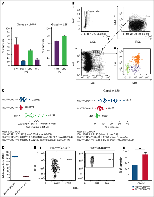 Sorting and characterization of BM-derived murine Flk2−CD34−LT-HSCs and Flk2−CD34+ ST-HSCs. (A) Expression analysis of (left) stem cell markers in the Lin− fraction of the BM of C57BL/6 mice. Following mononuclear cell isolation from the BM and lineage depletion, the cells were analyzed for the stem cell markers, Sca-1, c-Kit, CD34, and Flk2; and (right) of Flk2 and CD34 following gating on LSK using flow cytometric analysis. Each data point represents mean ± SD. (Bi) Lin− BM cells were stained for c-Kit and Sca-1 along with CD34 and Flk2. (Bii) Following the selection of live-singlet cells, c-Kit and Sca-1 double-positive cells were investigated for their expression of CD34 and Flk2 to isolate Flk2−CD34+ HSCs (purple), Flk2−CD34− HSCs (green), and progenitors (orange). Gates denote the sorting strategy used for each of the populations (n = 29 independent experiments). (C) The frequency of each sorted population of Flk2−CD34− LT-HSCs and Flk2− CD34+ ST-HSCs in the whole BM cells (left) and in the Lin− fraction following lineage depletion (right). (D) RNA was isolated from sorted Flk2−CD34− LT-HCs and Flk2−CD34+ ST-HSCs. SYBR green-based real-time qPCR was carried out using primers for CD34 and glyceraldehyde-3-phosphate (GAPDH). Results from qPCR were obtained from n = 3 independent experiments. (Ei) Both HSC populations were stained with CD150 antibody and gated according to fluorescence minus 1 (FMO) to determine CD150 expression using flow cytometric analysis. (Eii) The graph is representative of 1 experiment from n = 3 independent experiments. Results were quantified and analyzed using the unpaired t test (**P = .001) and presented as mean ± SEM.