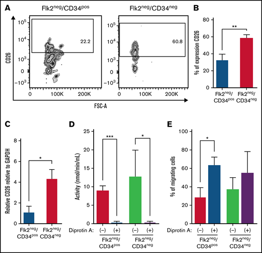 Inhibiting CD26 activity improves the migration of Flk2−CD34− LT-HSCs and Flk2−CD34+ ST-HSCs in vitro. (A) Representative flow cytometric contour plots (n = 3 independent experiments) illustrating CD26 expression on Flk2−CD34− LT-HSCs and Flk2−CD34+ ST-HSCs isolated from the BM of C57BL/6. (B) Data from (A) is presented as percent (%) positive cells ± SEM as compared with FMO control. The statistical analysis was performed with the unpaired t test (**P = .001). (C) RT-PCR was used to determine the expression of CD26 in the Flk2−CD34− LT-HSCs and Flk2−CD34+ ST-HSCs. Results were obtained from n = 3 independent experiments and analyzed using the unpaired t test (*P = .03) and presented as mean ± SEM. (D) The activity of CD26 peptidase in both HSC populations before and after CD26 inhibition with Dip A was assessed from n = 3 independent experiments (*P = .03 and ***P < .001). (E) A transwell migration assay was used to assess the migration of both HSC populations toward SDF-1α with (+) and without (−) the presence of Dip A. Data were normalized by subtracting the percent migration of untreated cells without SDF-1α. Each sample was performed in triplicate, and n = 3 independent experiments were performed.
