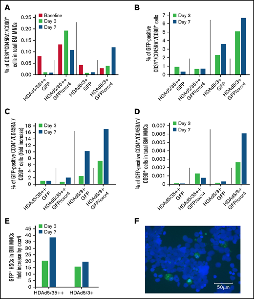 GFP expression in bone marrow (BM) HSCs and MNCs. (A) Return of mobilized HSCs to the BM. Shown is the percentage of primitive (CD34+/CD45RA–/CD90+) HSCs in total BM MNCs measured in BM samples at days 3 and 7. (“Day 0” is the day of HDAd injection.) (B) In vivo transduced primitive HSCs that returned to the BM. Shown is the percentage of GFP-positive CD34+/CD45RA–/CD90+ HSCs in BM aspirates collected at days 3 and 7. (C) Shown are the data from panel B as fold increase, taking transduction with the HDAd5/35++GFP vector as “1.” (D) Percentage of GFP-positive CD34+/CD45RA–/CD90+ HSCs relative to total BM MNCs. (E) Data extracted from panel D showing the effect of cxcr4 expression on the GFP+ HSCs in the BM (comparison of HDAd5/35++GFP vs HDAd5/35++GFP/cxcr4 and HDAd5/3+GFP vs HDAd5/3+GFP/cxcr4). (F) Representative GFP immunofluorescence on a BM CD34+ cytospin of the HDAd5/3+GFP/cxcr4–injected animal. CD34+ cells were isolated from a BM aspirate (after RBC lysis) by human CD34 magnetic-activated cell sorting, spun on a glass slide, and then stained with a GFP–fluorescein isothiocyanate antibody. GFP signals are green. Nuclei were stained with 4′,6-diamidino-2-phenylindole and appear in blue. Scale bar = 50 μm.