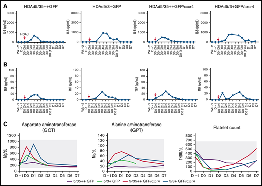 Safety of IV HDAd injection into mobilized rhesus macaques. (A) Serum IL-6 levels measured by cytometric bead array. HDAd injections (day 0, 0 hours) are indicated by red arrows. (B) Serum TNFα levels. (C) Selected hematologic parameters. The normal range is indicated by the gray shading. THOU, thousands.