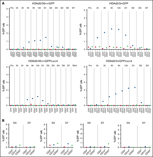 Percentage of GFP-positive cells in lineage–positive cells. Percentage of GFP+ CD3+, CD14+, and CD20+ lineage cells in PBMCs (A) and bone marrow MNCs (B).