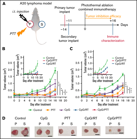 PTT in dual-flank A20 lymphoma model. (A) Schematic illustration and schedule of the experimental model. Tumor-inhibition efficacy was monitored for 16 days after photothermal ablation combined immunotherapy. Local and systemic immunotherapies were evaluated from primary and secondary tumors. (B) Tumor growth curves of primary tumor (treated). Inset graph focuses on difference between PTT and RT. (C) Tumor growth of secondary tumor (untreated). Inset graph focuses on difference between PTT and RT. (D) Representative resected primary (p) and secondary (s) tumors for each experimental group. Scale bar, 1 cm. Data were obtained from at least 6 independent samples. Data are shown as means ± standard errors of the mean. *P < .05, **P < .01, ***P < .001 (2-tailed paired t test). i.t., intratumoral; Treg, regulatory T cell.