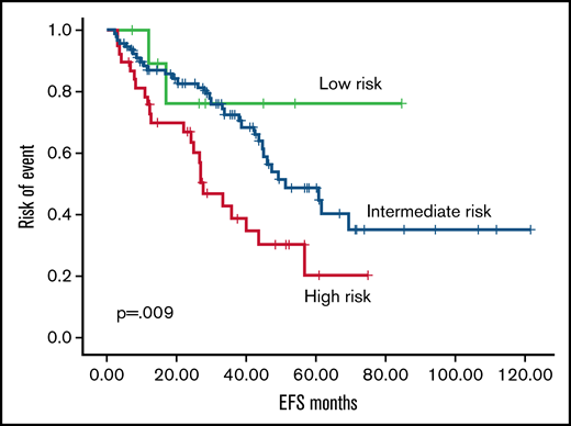 EFS according to RR6 model. Event free survival according to RR6 model (low risk, green; intermediate risk, blue; high risk, red).