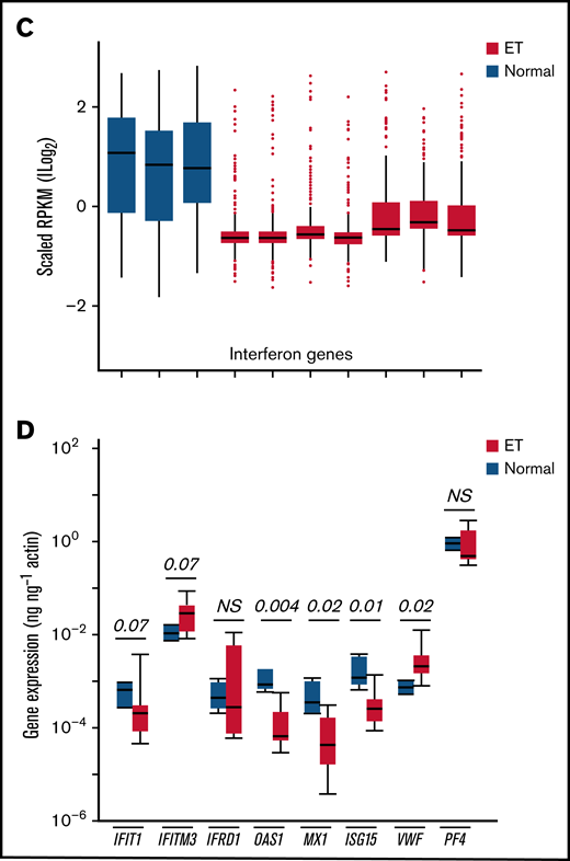 Characterization of inflammatory gene profiles in platelets. (A-B) RNA-Seq data from ET (N = 7) or healthy control (N = 3) platelets35 were filtered by using Hallmark40 inflammatory response (A, n = 200) or IFN response (B, n = 224) genes, followed by unsupervised hierarchical clustering by Euclidean distance (differentially expressed genes are shown). Note clear segregation of phenotypes in both panels. (C) In silico expression studies of aggregated IFN response genes (n = 224) by phenotype (normal, n = 3; ET, n = 7); data are expressed as mean ± standard error of the mean (SEM) of reads per kilobase per million (RPKM) normalized and scaled to mean 0. (D) Platelet quantitative polymerase chain reaction of select IRGs or platelet-specific genes (VWF and PF4) from a secondary cohort of healthy controls (n = 4) or ET (n = 8), expressed as mean ± SEM normalized to actin; box plots (panels C-D) represent the within-group interquartile range encompassing 50% of the values, whereas the 95% CIs and outliers are depicted. The horizontal bar within each box represents the group median. P values (t test) are shown. NS, not significant.