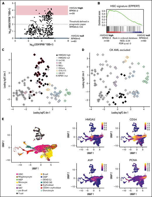 HMGA2high AML share an immature transcriptional signature. (A) Dot plot representation of HMGA2 and CD34 expression assessed by total RNA-sequencing in the Leucegene cohort of 452 primary AML specimens. Log-transformed scale is used to better visualize AMLs with low expression of these markers. Extreme AML groups of HMGA2 expression are depicted, and dotted line defines HMGA2 positivity threshold defined in our previous prognostic paper.16 (B) Gene Set Enrichment Analysis plot comparing HMGA2high (RPKM >2; n = 39) vs HMGA2 null (RPKM = 0; n = 83) transcriptomic signatures in primary AML specimens. Results obtained for EPPERT_HSC_R gene set that includes upregulated genes in HSC-enriched populations. (C) MDS constructed using expression data (100 genes presenting the largest standard deviations between samples, excluding HMGA2) obtained from inv(16), CK, MLL-rearranged (MLLr), t(15;17), t(8;21), NPM1 mutated (N), and other subgroups, presenting either high (>2 RPKM) or null HMGA2 expression. The subgroup denominated as “others” is composed of samples presenting none of the alterations defining the plotted groups. (D) Same analysis as in panel C with the exclusion of CK AML specimens. (E) Single-cell transcriptomic overview obtained from the integration of 5 primary AML specimen data sets from Petti et al.29 Only leukemic cells, defined by the presence of at least 1 somatic mutation, are displayed. Black arrow: non-cycling HMGA2+ cells, red arrow: cycling HMGA2+ cells. Cell type annotations were adopted as published: HSC, megakaryocyte-erythroid progenitors (MEP), common myeloid progenitor (CMP), natural killer (NK), and natural killer T (NKT) (left). Uniform Manifold Approximation and Projection (UMAP) plot of HMGA2, stem cell, and proliferative genes (right). FDR, false discovery rate; NES, normalized enrichment score.