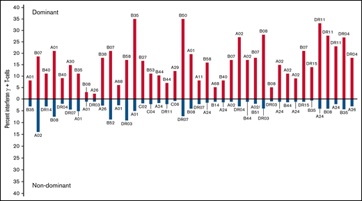 Comparison of dominant vs nondominant responses in 41 individuals who generated IFN-γ+ CMVpp65CTLs against >1 peptide epitope. Dominant responses are quantitated above the x-axis; nondominant responses from the same individual are quantitated below the axis. The HLA restriction of each T cell is above (dominant) or below (nondominant) each response compared.