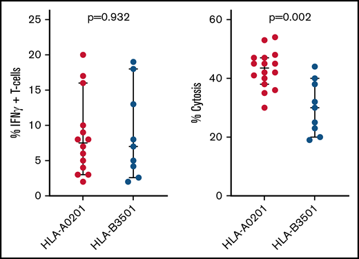 Function of HLA A*0201 vs HLA B*3501 restricted CMVpp65CTLs. Comparison of NLV-specific HLA A*0201 restricted vs IPSI-specific HLA B*3501 restricted CMVpp65CTL lines in the bank, as to proportions of IFN-γ+ peptide-specific T cells in each line and the cytotoxic activity of each line against autologous phytohemagglutinin-stimulated blasts loaded with the targeted CMVpp65 peptide.