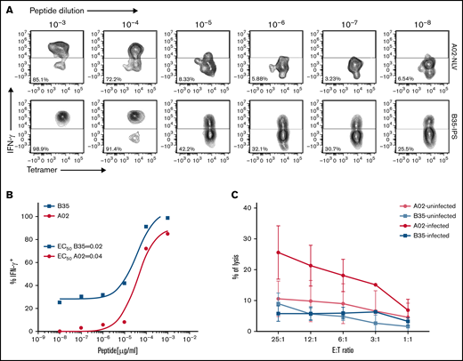 Comparisons of HLA-B*3501–restricted, IPSI peptide–specific vs HLA A*0201– restricted, NLV peptide–specific T cells as to their avidity for cognate peptide loaded on autologous DCs and their capacity to lyse autologous CMV-infected DCs. CMV-specific CTLs were incubated for 16 hours with autologous DCs loaded with10-fold serial dilutions of CMV-pp65 subpools containing the HLA A0201 peptide epitope NLVPMVATV or the HLA B3501 epitope IPSINVHHY. IFN-γ expression was then assessed by using an intracellular cytokine assay: (A) Representative flow cytometric analysis after stimulation of NLV or IPS-specific T cells with serial dilutions of cognate peptide. (B) Peptide dose–response curves for the experiment shown in panel A. (C) Chromium-51 release assay showing specific lysis by HLA-B35–restricted CTLs and HLA-A02–restricted CTLs of autologous DCs infected or not with the TB40E endotheliotropic clinical strain of HCMV. E:T, effector-to-target ratio.