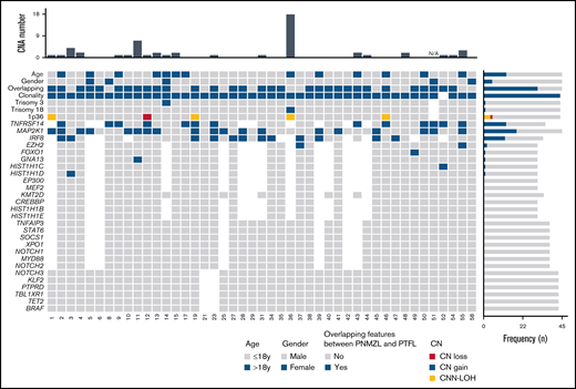 Overview of the CN and mutational profile of 45 PNMZL analyzed. Each column of the heatmap represents a case, and each row represents an analyzed variable. The right histogram represents the frequency of the variable in question. For CN, blue indicates CN gain, red indicates CN loss, and green indicates CNN-LOH. For clonality, blue represents monoclonal cases. Absent blocks indicate information not available.