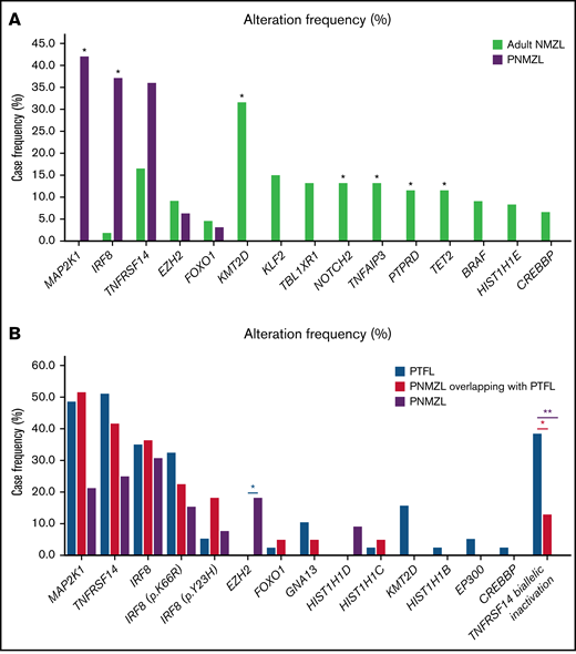 Comparison of alteration frequencies of PNMZL versus adult NMZL and PTFL. (A) Comparison of mutation frequency of genes recurrently mutated in PNMZL and in adult NMZL.5,6 For statistical comparison, only frequently mutated genes (>5%) and regions analyzed in both groups were considered; that is, all coding sequence of TNFRSF14, KMT2D, TBL1XR1, TNFAIP3, and HIST1H1E and mutation hot spots of MAP2K1, EZH2, FOXO1, TET2, BRAF, KLF2, NOTCH2, PTPRD, and CREBBP. Genes are represented along the horizontal axis, and the mutation frequency is represented on the vertical axis. Adult NMZL is depicted in green, and PNMZL is depicted in purple. Asterisks mark statistically significant differences in the incidence of mutation (Fisher’s exact test, *adjusted P < .05). (B) Comparison of alteration frequency of genes recurrently mutated in PNMZL, cases with overlapping features and PTFL.8 Genes are represented along the horizontal axis, and the alteration frequency is represented on the vertical axis. PNMZL is depicted in purple, cases with overlapping features are represented in gray, and PTFL is depicted in blue. Asterisks mark statistically significant differences in the incidence of alteration, with colors indicating the group in which the frequency is significantly different (Fisher’s exact test, *P < .05, **P < .01).