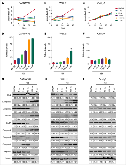 Effects of venetoclax in DHL cells. (A-C) Trypan blue exclusion test of cell viability in CARNAVAL (A), WILL-2 (B), and Oci-Ly7 (C) cells treated with increasing concentrations of venetoclax (VEN) for up to 48 hours. Technical triplicates were counted per experiment. Graphs show results of 3 independent experiments (n = 3, SD). (D-F) Annexin V staining measured by flow cytometry in CARNAVAL (D), WILL-2 (E), and Oci-Ly7 (F) cells subjected to escalating concentrations of 1 nM to 1 µM VEN and DMSO for 12 hours. (G-I) Protein expression of Bcl-2 and apoptotic markers Caspase 3, 7, 9, cPARP, and total levels analyzed by Western blot in CARNAVAL (G), WILL-2 (H), and Oci-Ly7 (I) cells after treatment with VEN for 12 hours with concentrations as indicated. Tubulin served as a loading control. Quantification of Western blot was done with ImageJ. Intensities were calculated relative to tubulin and normalized to DMSO solvent control. N/A, not analyzable.