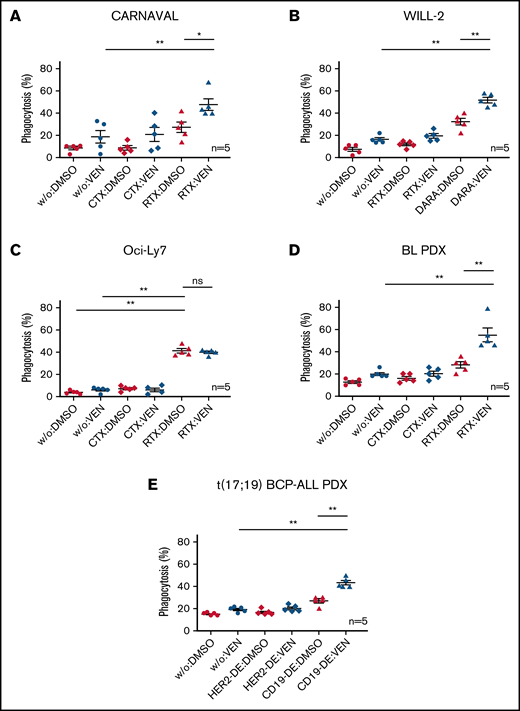 ADCP in Bcl-2–expressing DHL cell lines and PDX samples on combination of VEN and therapeutic antibodies. Percentages of cells phagocytosed by human macrophages with VEN/antibody combinations compared with VEN or antibody (RTX, DARA, CD19-DE) alone. (A) CARNAVAL cells after treatment with 1 nM VEN for 12 hours, RTX, and the control antibody CTX. (B) WILL-2 cells treated with 1 nM VEN for 12 hours, DARA, and the control antibody RTX. (C) Oci-Ly7 cells after treatment with 1 nM VEN for 12 hours, RTX, and the control antibody CTX. (D) ADCP in BL PDX sample subjected to 1 nM VEN for 12 hours, RTX, and the control antibody CTX. (E) t(17;19)-positive BCP-ALL PDX sample treated with 1 nM VEN for 12 hours, CD19-DE, and the control antibody HER2-DE (a version of trastuzumab containing the same modification in the Fc part of the antibody as CD19-DE). DMSO, solvent control; w/o, no antibody. Phagocytosis was determined as the percentage of macrophages with completely ingested carboxyfluorescein succinimidyl ester green–positive cells by counting in total 100 macrophages by at least 3 independent observers. Each dot represents an independent experiment with different human donors. Data are presented as mean ± standard error of the mean (SEM) from independent experiments with 5 healthy blood donors. Statistical analysis: ns, not significant; *P < .05; **P < .005; Mann-Whitney test. All antibodies used in vitro were applied to a final concentration of 10 µg/mL.
