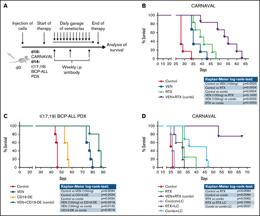 Combination of VEN and antibodies in xenograft mice in vivo. (A) Experimental scheme: CARNAVAL cells or t(17;19) BCP-ALL PDX were injected IV into NSG mice. VEN (100 mg/kg per day) was given daily via oral gavage. Therapeutic antibodies (1 mg/kg) were applied weekly via the intraperitoneal route. (B) CARNAVAL cells were injected into NSG mice and left untreated (control), treated with 100 mg/kg per day VEN, 1 mg/kg per week RTX, or the combination (combi) of both. (C) One t(17;19)-positive BCP-ALL PDX sample was injected into NSG mice and either left untreated (control), treated with 100 mg/kg per day VEN, 1 mg/kg per week CD19-DE, or the combination (combi) of both. (D) NSG mice were injected with CARNAVAL cells. Animals were left untreated (control), treated with RTX (1 mg/kg per week intraperitoneal), VEN (100 mg/kg per day oral gavage), or the combination (VEN+RTX). For macrophage depletion, mice received weekly injection of LC (100 µL/wk intraperitoneally, i.p.). Survival was analyzed using the Kaplan-Meier method and log-rank statistics. P < .05 was considered statistically significant. n, animals per group.