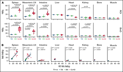 Quantitative PET ROI and BioD analysis of 89Zr-DFO-ICOS mAb in acute GvHD. (A) Quantitative ROI analysis of PET images (upper panels) and BioD (lower panels) of spleen, mLN, intestine, liver, heart, kidney, bone, and muscle 48 hours after tracer injection in TBI (blue; n = 5), BM (green; n = 7), or GvHD mice (red; n = 11). Values are summarized as box plots, representing the range, first quartile, median, third quartile, and eventual outliers. Tracer uptake in GvHD and TBI or BM mice was compared using the Mann-Whitney U test. (B) Correlation between tracer uptake measured by PET ROI image analysis with that determined by BioD analysis, evaluated using a Spearman rank correlation coefficient test. Results are pooled from 2 independent experiments. %ID/g, percent injected dose per gram.