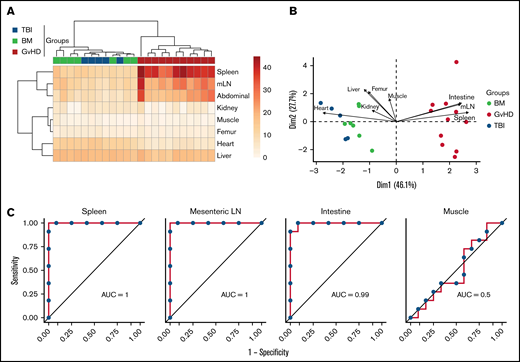 Assessment of 89Zr-DFO-ICOS mAb PET imaging as a potential tool for gastrointestinal GvHD early diagnosis. (A) Heatmap visualization and hierarchical clustering of normalized ICOS PET ROI values (rows) from single transplant recipients (columns). Data shown are pooled from 2 independent experiments. (B) PCA of normalized ICOS PET ROI values. Each arrow represents the relative contribution of each ROI. (C) ROC analysis showing sensitivity against 1 − specificity for distinguishing GvHD mice from other cohorts based on PET ROI values for organs identified by the PCA analysis (spleen, mLN, and intestine) and for muscle as a negative control.