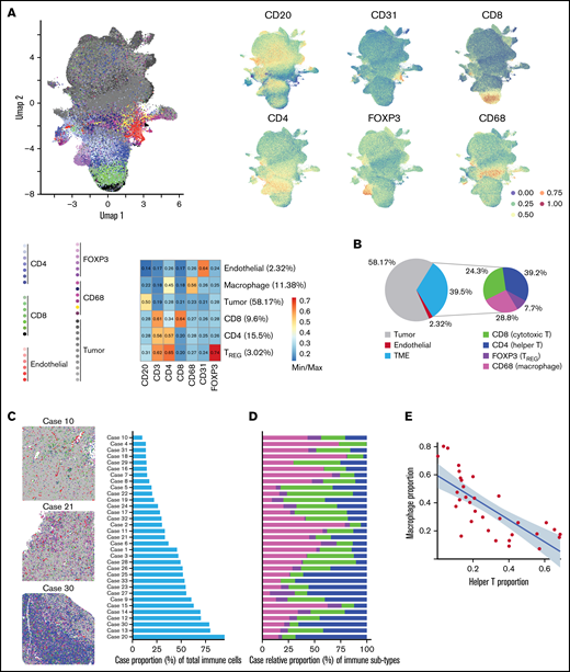 IMC analysis of DLBCL TME identifies heterogeneity of immune infiltration and cellular subtypes. (A) The complete single-cell network uniform manifold approximation and projection (UMAP) depicts the manifold approximation for each cell and shows the lineage marker intensity correspondence to each manifold. UMAP (left) depicts the identified tumor, CD4, CD8, TREG, macrophage, and endothelial components generated by PhenoGraph clustering. Each PhenoGraph subpopulation is denoted with a color organized by TME compartments related to the primary lineage marker. The adjacent UMAP (right) depicts the primary lineage marker (min/max) intensity of each major phenotype. The corresponding heatmap depicts the min/max normalized expression intensity summarized by major cell components. (B) Of the 39.5% of cells composing the TME, the composition was dominated by CD4, CD8, and macrophages, which make up 92.3% of the immune microenvironment. In a multivariate beta model adjusted for each Chapuy signature class, cell-of-origin, and high IPI (≥ 3), CD4 T cell-relative TME proportion was 2.88 (95% CI, 1.26-6.57; P = .012) times increased among cases in C4 coordinate signature compared with cases not in C4. CD8 T-cell TME proportion was 1.96 (95% CI, 1.11-3.48; P = .02) times increased among C2 cases compared with other signatures, whereas TREG TME proportions were 0.40 (95% CI, 0.19-0.86; P = .019) times that of those not in C2. These data suggest, holding other terms as constant, that there is heterogeneity of TME abundances associated with molecular signatures. (C) Left: Initial pathologist review revealed various degrees of immune infiltrate in DLBCL. Pseudo-colored images representative of cases with low (top), medium (middle), and high (bottom) degree of immune infiltrate. Right: Cases ranked in order of absolute proportion of immune cells (9.42%-90.14%). See Supplemental Figure 7 for all cases. (D) Analysis of the TME composition showed marked heterogeneity in the distribution of CD4, CD8, TREG, and macrophages across cases, such that the proportion of CD4 increases with the increasing proportion of immune infiltrate, but the proportion of macrophages decreases with the increasing proportion of immune infiltrate. (E) Negative correlation between the proportion of CD4 T cells and that of macrophages. The x-axis denotes CD4 T-helper case proportions and the y-axis denotes the macrophage case proportions.