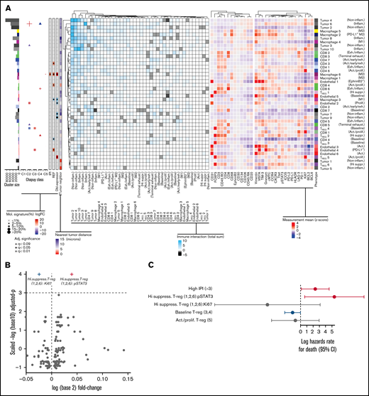 Association between genetic mutations, cell of origin, and abundance of subcellular phenotypes in DLBCL TME. (A) Subphenotypes were created and labeled by reclustering cells using all markers. (Left) heatmap depicts the significant spatial colocalizations are depicted on the using an interaction distance of 15 microns and a permutation test (1000; P < .01) comparing significant spatial colocalizations (cyan), or significant avoidance (black) for each pairwise subpopulation as a total sum of signed interaction scores. (Right) Heatmap depicts the heterogeneity state/inducible marker expression (Z-score). The left-most adjacent graphs include cluster size correspondence, differential abundance association with molecular subtypes (C1-C5), IPI, treatment refractory, and double expressor status (|logFC|<10), and the average nearest neighbor distance to tumor per cluster is included (<15 microns). Statistically significant differences of cluster abundances/states were denoted following adjusted significance legend including shapes such as a triangle denoting BH q < 0.09, a cross shape denoting BH q < 0.05, and a box/cross denoting BH q < 0.01. For hypothesis testing cluster abundances related to Chapuy signatures, the size of a given significance shape represents abundance of a given phenotypic cluster relative to the abundance among other Chapuy signatures (%). Baseline TREG ( cluster 4) (logFC=17.4, BH q = 3.2e-03) abundance was significantly enriched in C3 coordinate signature, with negative association in C2 (logFC= −20.4, BH q = 1.9e-04). PD-L1+ endothelial cell (4) abundance were positively associated with C3 (logFC = 23.4, BH q = 3.2e-03) and REF subjects (logFC = 10.9, BH q = 0.033). Proliferative endothelial cells (2) had increased abundance in C2 (logFC = 20.9, BH q = 5.1e-03) and inflammatory tumor (6) (logFC = 22.7, BH q = 0.024). Exhausted/inflammatory CD8 (6) had increased abundance (logFC = 29.4, BH q = 0.024). The expression intensity for each sample was standardized into a Z-scores, and the subsequent phenotype cluster expression profiles are depicted. (B) The volcano representation of the multivariate linear model identified pSTAT3 as statistically significantly overexpressed on highly suppressive TREG comparing refractory to responders (BH q = 0.0295), similarly Ki67 on the same phenotype was underexpressed (BH q = 0.0295). The shapes of these 2 markers correspond to the adjusted significance legend (BH q < 0.05) used in cluster abundance hypothesis testing. (C) The multivariate Cox proportional hazards model indicates the x-axis as the log hazards estimate, and the y-axis are the Treg family included in the model (95% CI). For each patient, the relative case proportions for a given phenotype, and the average pSTAT3/Ki67 expression (Z-score) corresponding to the given phenotype, were fit into the Cox hazards model using these patient level features.