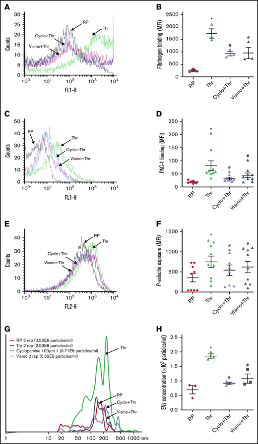 Thrombin-induced platelet functional responses are inhibited by Shh antagonists. Binding of Alexa fluor 488-fibrinogen (A-B) and FITC-labeled PAC-1 (C-D) to platelets treated with different reagents (thrombin, 0.1 U/mL for fibrinogen binding and 0.25 U/mL for PAC-1 binding; cyclopamine, 10 μM; and vismodegib, 25 μM) as indicated. (E-F) P-selectin externalization in platelets induced by 0.25 U/mL thrombin in the presence of vehicle, cyclopamine (10 μM), or vismodegib (25 μM), as indicated. (G-H) EV release from platelets pretreated with vehicle, cyclopamine, or vismodegib upon stimulation with thrombin (0.5 U/mL) as indicated. Figures are representative of ≥5 individual experiments (mean ± standard error of the mean). *P < .05 as compared with resting platelets and #P < .05 as compared with thrombin-stimulated platelets.