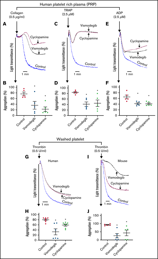 Agonist-induced platelet aggregation is inhibited by Shh antagonists. Aggregation of platelets in PRP induced by collagen (0.5 μg/mL) (A), TRAP (2.5 μM) (C), or ADP (2.5 μM) (E) in the presence of vehicle (control), cyclopamine (10 μM), or vismodegib (25 μM), as indicated. Aggregation of washed human (G) and murine platelets (I) induced by 0.1 U/mL thrombin in the presence of vehicle (control), cyclopamine (10 μM), or vismodegib (25 μM) as indicated. (B,D,F,H,J) Represent corresponding bar diagrams showing percent aggregation (mean ± standard error of the mean) averaging ≥5 individual experiments. *P < .05 as compared with control.