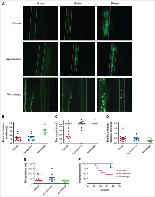 Inhibitors of Hedgehog signaling impair thrombus formation in mice. (A) Representative timelapse images exhibiting thrombus formation in mice, preadministered either with vehicle (control), cyclopamine, or vismodegib, captured 5, 15, or 25 minutes after injury of mesenteric arterioles of >100 μm diameter with 10% ferric chloride. (B-E) Scatter dot plots representing (B) time to first thrombus formation, (C) time to occlusion, (D) thrombus growth rate, and (E) tail-bleeding time in mice preadministered with vehicle, cyclopamine, or vismodegib. Each dot in scatter plots represents an independent observation. (F) Kaplan-Meier curve exhibiting proportion of occluded arteries at various time points of observation in mice preadministered with vehicle, cyclopamine, or vismodegib. Data are expressed as the mean ± standard error of the mean. *P < .05 with respect to vehicle-treated mice.