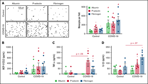 Monocytes from patients with severe COVID-19 are hyperresponsive to P-selectin and fibrinogen regarding inflammatory cytokine secretion. Monocytes (1 × 105) from patients with severe COVID-19 or control participants were plated on recombinant human albumin, P-selectin, or fibrinogen coated surfaces. (A) The number of monocytes (DAPI, nuclei) adhered on each condition is shown. Scale bar represents 100 µm. (B-D) The concentration of MCP-1/CCL2 (B), TNF-α (C), and IL-1β in each condition (D). Bars represent mean ± standard error of the mean of monocytes from 5 independent control participants and 6 independent patients with severe COVID-19. #P < .05 compared with monocytes from control participants in the same condition; *P < .05 compared with albumin.