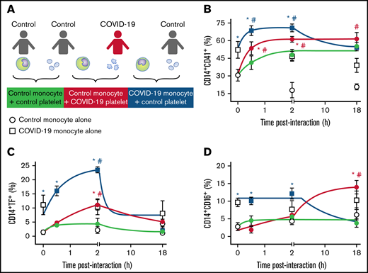 Platelet-monocyte aggregates formation, TF expression, and CD16 expression follows differential kinetics in COVID-19. (A) Monocytes from healthy volunteers (control monocyte) were incubated in the absence of platelets (open circles) or with platelets from severe COVID-19 patients (COVID-19 platelets, red circles) or from a different healthy volunteer (control platelets, gray circles) for the indicated time points. Monocytes from COVID-19 patients (COVID-19 monocyte) were also incubated in the absence of platelets (open squares) or with platelets from healthy volunteers (control platelets, black squares). The percentage of platelet-monocyte aggregates formation (B), TF-expressing monocytes (C), and CD16-positive monocytes (D) are shown. Dots represent mean ± standard error of 4 to 6 platelet and monocyte combinations from patients with COVID-19 or control participants. All experiments were repeated with cells from at least 2 independent control participants exposed to platelets or monocytes from the same patients with COVID-19 with similar results, and a representative data from 1 of the donors is shown. #P < .05 compared with baseline; *P < .05 compared with control monocytes exposed to control platelets.