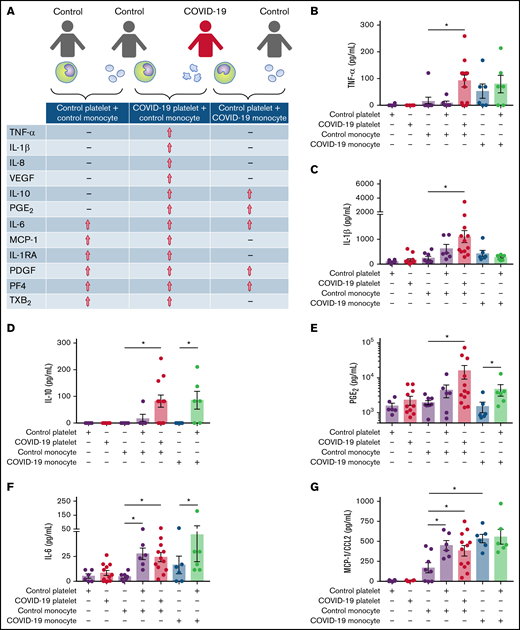 Platelet-monocyte interactions increase the secretion of inflammatory mediators in COVID-19. (A) Monocytes from healthy volunteers (control monocyte) were incubated with platelets from patients with severe COVID-19 (COVID-19 platelets) or from a different healthy volunteer (control platelets) for 18 hours, and the indicated inflammatory mediators were quantified in the supernatants. Monocytes from patients with COVID-19 (COVID-19 monocyte) were also incubated with platelets from healthy volunteers (control platelets). The concentration of TNF-α (B), IL-1β (C), IL-10 (D), PGE2 (E), IL-6 (F), MCP-1/CCL2 (G), PDGF (H), and PF4/CXCL4 (I) are shown. Bars represent mean ± standard error of the mean of 6 to 12 platelet and monocyte combinations from patients with COVID-19 or control participants. All experiments were repeated with cells from 2 independent control participants exposed to platelets or monocytes from the same patients with COVID-19 with similar results, and a representative data from 1 of the donors is shown. *P < .05 between selected groups.