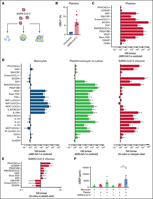 Platelets respond to SARS-CoV-2 and modulate monocytes activation in vitro. (A) Platelets, monocytes, and platelet-monocyte cocultures were kept uninfected or exposed to SARS-CoV-2 overnight. (B) The percentage of P-selectin in uninfected and SARS-CoV-2-infected platelets. (C) The fold change in platelet activation markers and mediator secretion after SARS-CoV-2 infection compared with uninfected platelets. (D) The fold change in platelet and monocyte activation markers and mediator secretion after SARS-CoV-2 infection as compared between infected and uninfected monocytes (left), infected and uninfected platelet-monocyte cocultures (middle), or in infected cocultures compared with monocytes infected alone (right). (E) The fold change in platelet activation markers and mediator secretion in SARS-CoV-2 infected cocultures compared with platelets infected alone. (F) Soluble P-selectin (sCD62P) concentration in platelets, monocytes, or platelet-monocyte cocultures after SARS-CoV-2 infection. Bars represent mean ± standard error of the mean of platelets and/or monocytes from 4 independent donors. *P < .05 compared with uninfected platelets or between selected groups.