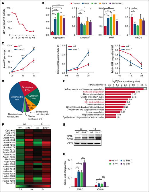 NAD+ exhaustion–induced Sirt3 dysfunction is responsible for CPT2 K79 acetylation and acylcarnitine accumulation. (A) NAD+ levels of stored human platelets were detected. (B) The aggregation, apoptosis, MMP, and mtROS levels were measured in human platelets stored for 6 days with 0.5 mM NMN, 0.5 mM nicotinamide riboside (NR), 2.5 µM P7C3, or 10 µM SBI797812. n = 3. (C) Apoptosis, mtROS levels, and MMP of stored WT and Sirt3−/− platelets were detected. n = 3. (D) Subcellular location of the proteins in which acetylation levels were changed (2-day Sirt3−/− vs 2-day WT, fold ≥1.3). (E) Kyoto Encyclopedia of Genes and Genomes (KEGG) pathway enrichment of the proteins in panel D. (F) The acetylation sites of the enzymes that were involved in fatty acid metabolism are listed. (G) The levels of CPT2 K79 acetylation were detected in WT and Sirt3−/− platelets stored for 0 day and 1 day by using western blot analysis. CPT2 was used as a loading control. (H) The levels of C16:0 and C18:0 acylcarnitines were evaluated in WT and Sirt3−/− platelets stored for 0 day or 1 day, respectively. n = 3. *P < .0332, **P < .0021, ***P < .0002, ****P < .0001.