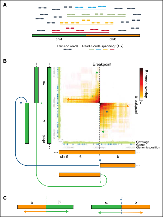 SVs are identified in lrWGS as enrichments of breakpoint-spanning read clouds. (A) Schematic illustration of read clouds spanning a chromosome 4 (chr4) to chr8 translocation breakpoint and the pair-end reads constituting the read clouds. (B) Heat map showing the enrichment of shared read cloud (barcodes) between regions on chr4 and chr8 fused by a reciprocal translocation. As the enrichment of shared read clouds progressively increases closer to the breakpoint, the signals in the heat map resemble 2 arrowheads pointing toward the breakpoint. Effectively, this allows for determining that the reciprocal translocation results in the fusion of the chr4 β-region with the chr8 a-region (i) and the chr4 α-region with the chr8 b-region (ii). The connected green and orange arrows schematically indicate the areas joined by events i and ii. (C) Schematic illustration of the derivate chromosomes generated by the reciprocal translocation. Supplemental Figure 4 provides additional details on the interpretation of read-cloud data and examples of other SVs.