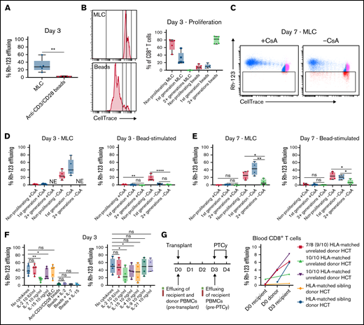 CD8+ T cells initially increase efflux capacity in antigen-stimulated conditions or when cultured alone in vitro and then lose efflux capacity as they proliferate. (A-F) Human T cells were stimulated in MLC as in Figure 1, stimulated with anti-CD3/CD28 beads, or cultured without allogeneic stimulators or beads. At 3 or 7 days of in vitro culture, Rh-123 effluxing was assessed as per Figure 2. The “+CsA” designation refers to culturing with CsA only during the effluxing to serve as a noneffluxing control, but these cells were not cultured with CsA during the 3 or 7 days of in vitro culture. In parts (A-E), T cells were labeled with CellTrace Violet before in vitro culture. Shown are combined results from 3 independent experiments for parts (A-B,D) and 2 independent experiments for parts (C,E). (A) The efflux capacity of CD8+ T cells in MLC was higher than with anti-CD3/CD28 bead stimulation. **P = .0075 on paired t test. (B) However, proliferation on day 3 was much less extensive after MLC, with negligible numbers of CD8+ T cells in MLC proliferating >1 generation. Example plots of proliferation as measured by CellTrace dilution are shown for T cells from a healthy donor treated either in MLC or with anti-CD3/CD28 beads. (C-E) On both day 3 (D) and day 7 (C,E) of in vitro culture, efflux capacity was increased in nonproliferating cells or those that had only divided a single generation regardless of MLC or anti-CD3/CD28 stimulation but decreased in CD8+ T cells that had proliferated more extensively. This divergence may explain the overall decreased effluxing seen in (A) after bead stimulation because of much more extensive proliferation with that treatment. On day 3 of MLC, effluxing was considered nonevaluable (NE) in the cells proliferating more than a single generation because of extremely low numbers of cells in that group. Representative flow cytometric plots are shown in (C). *P < .05, **P < .01, and ****P < .0001 on nonrepeated-measure one-way ANOVA followed by the Holm-Sidak post hoc test. (F) CD8+ T cells cultured with media alone increased effluxing capacity similarly compared with CD8+ T cells stimulated in MLC, and this was not augmented with treatment with common γ-chain cytokines. The combined results of 2 independent experiments are shown. *P < .05, **P < .01, and ns, not significantly different on repeated-measure one-way ANOVA followed by the Holm-Sidak post hoc test. (G) Human CD8+ T cells retrieved from the blood of patients (n = 5) on day 3 after allogeneic hematopoietic cell transplantation also had increased efflux capacity (P = .035 on paired t test) compared with effluxing seen in recipient or donor cells on day 0. These patients were not treated with any immunosuppression after transplant (PTCy or other) before sample collection on day 3.