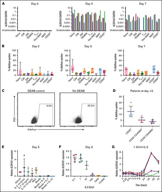 CD8+ T-cell subsets increase ALDH1A1 expression in mixed lymphocyte culture and after stimulation with low-dose IL-2. (A) T cells were isolated from healthy donor PBMCs and either taken directly for flow cytometric sorting as per supplemental Figure 1 or put in MLC as in Figure 1 and flow cytometrically sorted on day 3 or 7. Quantitative polymerase chain reaction (PCR) for ALDH1A1 or GAPDH was performed on RNA extracted from flow cytometrically-sorted CD8+ T-cell subsets, showing increased ALDH1A1 expression on day 3 that persisted but declined on day 7 of MLC. Each color shows a different healthy donor tested (n = 4). (B) ALDH functional activity was measured by Aldefluor positivity based on a DEAB negative control for each sample. There was overall increased Aldefluor positivity in CD8+ T-cell subsets on day 3 of MLC compared with freshly isolated healthy donor T cells (day 0); these differences were statistically significant on repeated-measure ANOVA for all but the CM, EM, and MAIT subsets. (C) A representative example of the positive shift in Aldefluor staining is shown for all CD8+ T cells on MLC day 3. The threshold of Aldefluor positivity is based on the sample-specific DEAB negative control. (D) Samples on day +3 after transplant from patients treated with myeloablative HLA-matched BM transplantation previously assessed for Aldefluor positivity within CD4+ T-cell subsets7 were assessed for Aldefluor positivity within CD4− T-cell subsets, also showing Aldefluor positivity within a subset of cells. (E) Human T cells were isolated and plated either in media alone; with 10 IU/mL IL-2, 10 ng/mL IL-7, or 10 ng/mL IL-15; in MLC; or with anti-CD3/CD28 stimulation beads ± IL-2, IL-7, or IL-15. T cells that were in MLC were immunomagnetically reisolated on day 3 to remove CD3− stimulator cells, after which ALDH1A1 and GAPDH expression were determined via quantitative PCR for all groups. The dose of IL-2 chosen (10 IU/mL) for the initial experiments resulted in a variable effect on ALDH1A1 expression, whereas bead stimulation decreased ALDH1A1 expression compared with cells cultured in media only. Relative expression is shown of ALDH1A1/GAPDH of the treatment divided by ALDH1A1/GAPDH of the vehicle-treated control group. (F) Therefore, a range of IL-2 doses was tested, showing increased ALDH1A1 expression at low doses and decreased ALDH1A1 expression at high doses. (G) A timecourse assessment showed that the peak increase in ALDH1A1 expression with low-dose IL-2 was at 48 hours in 3 of 4 healthy donors tested. Relative expression is shown of ALDH1A1/GAPDH of each time point divided by ALDH1A1/GAPDH of the pretreatment (time 0) sample. Combined results are shown from 2 independent experiments (n = 4) for (A,E-G) and from 3 independent experiments (n = 6) for (B). (D) n = 5.