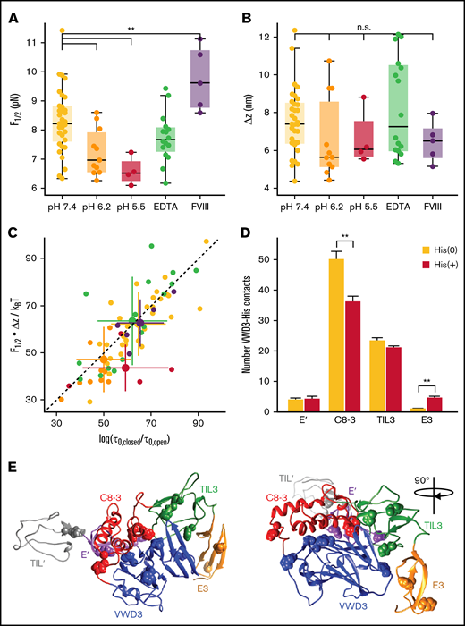 Stability of the D3 interface is modulated by pH and FVIII binding. (A) Midpoint force F1/2 for different buffer conditions (see supplemental Table 1 for details of the buffer compositions). The D3 interface is destabilized by decreasing pH, not affected by addition of EDTA (to remove the Ca2+ from the binding loop in VWD3) and stabilized by addition of FVIII. The difference between F1/2 at pH 7.4 and pH 6.2 is highly significant (P < .0041; 2-tailed t test for independent means). Similarly, the difference between F1/2 at pH 7.4 and pH 7.4 + FVIII is highly significant (P < .0078). (B) Distances Δz between states for the same conditions as in panel A. There are no significant differences in Δz between the conditions. Each point in panels A and B corresponds to an individual molecule. Boxes indicate the median and 25th and 75th percentile, and whiskers are the furthest datapoint outside the box, but within 1.5 times the box width. (C) Free energy differences between the open and closed state of the D3 interface. The free energy differences were obtained from the equilibrium data as F1/2⋅Δx and from the kinetics as ksT⋅log(τ0,closed/τ0,open). The data fall along the 45° line (dashed), indicating that the 2 estimates give consistent values. Comparison of the different conditions reveals a lower free energy difference for decreased pH of 6.2 and 5.5, indicating a destabilization of the domain at low pH. Small points correspond to data from individual molecules; large points with error bars indicate the mean ± standard deviation for each condition. (D) Average number of histidine contacts for several subdomains with the VWD3 domain, determined from equilibrium simulations. Two conditions were considered: histidines unprotonated (orange) or protonated (dark red). Contacts are defined as atoms with a distance < 0.35 nm. Statistically significant differences between the unprotonated and protonated histidine simulations are indicated by 2 stars corresponding to p < .01. (E) Crystallographic structure of the D′D3 domain with histidine residues that showed the strongest changes in average contacts indicated as spheres.