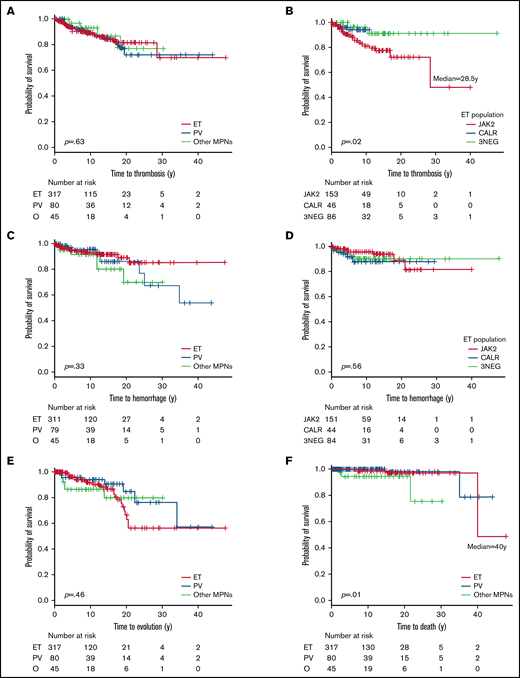Kaplan-Meier curves of complications during follow-up of the global cohort. Thrombosis-free survival curves in all MPN (A) and in the ET population (B). Hemorrhage-free survival curves in all MPN (C) and in the ET population (D). Evolution-free survival curves (E) and overall survival curves (F). 3NEG, triple negative; NR, not reached; O, other MPNs.