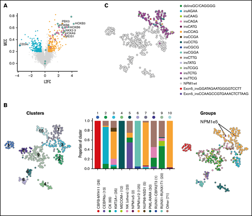 Gene expression profile and clustering of NPM1-mutated AML. (A) Differentially expressed and predictive genes in NPM1e12 AML (n = 125) compared with control AML (n = 305) using EPCY. Overexpressed (orange) and underexpressed (blue) genes are defined by Log 2 Fold Change (L2F) >|0.5| and NPM1e12 predictive power is defined by Matthews Correlation Coefficient (MCC) >0.2. Selected genes are labeled, and HOXA/B genes are colored separately. (B) Uniform manifold approximation and projection (UMAP) performed on the complete log transformed Leucegene cohort (n = 430) using the most predictive genes from supplemental Table 2 followed by principal component analysis and colored by Louvain-based clusters (left)19 or mutational/cytogenetic group (right). Barplot shows the proportion of genetic groups per cluster; the number of samples per group is indicated in parentheses. (C) UMAP colored by NPM1 mutation type.