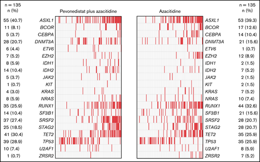 Distribution of poor prognostic and frequently mutated genes in patients with higher-risk MDS by treatment arm. Mutational analysis was conducted on 270 bone marrow aspirate samples collected at screening (n = 135 samples from each treatment arm).