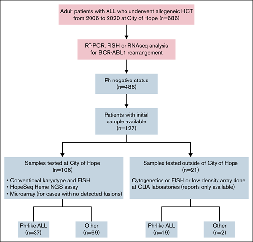 Flow diagram of the study design.