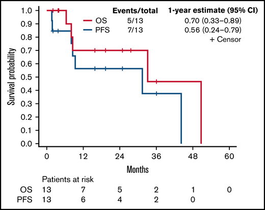 PFS and OS. Kaplan-Meier curve for OS and PFS for all patients (n = 13).