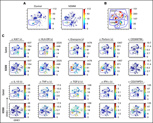 viSNE analysis of NK cell subset in NDMM and control subjects. (A) Representative samples of two viSNE analyses. NK cells were identified by traditional Boolean gating before performing the viSNE analysis with equal sampling across all samples. The gated population is the CD56bright population. (B) Within the CD56dim population, multiple subpopulations (labeled A-F) can also be identified. (C) viSNE analysis of mass cytometry data allows multiple NK subsets to be identified based on immune marker expression, cytokine production, proliferation, and granzyme and perforin expression. The gated population is the CD56bright subset; the ungated region is the CD56dim subset. (D) Patterns of marker expression across the CD56dim subpopulations reveal distinct populations with different phenotypic and functional characteristics. Statistically significant differences between NDMM and control expression are seen for the HLA-DR population F (***P ≤ .001) and granzyme population D (****P ≤ .0001).
