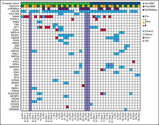 Oncoprint of mutations in gilteritinib treated patients pre- and post-treatment. Row 1 indicates the transplant status of the patient; relapsed/refractory pre-bone marrow transplant (BMT) or post-BMT. Row 2 shows progression of treatment with green indicating pre-treatment samples and yellow indicating post initiation with an increasing gradient showing progression of treatment. Row 3 displays scRNASeq samples. Row 4 designates the FLT3 status. The patient ID is indicated below each column. Each remaining row represents genes mutated with a variant allele frequency (VAF) cut-off of 0.05. Blue indicates present, red is new/emerging, white is absent and lavender is not available.
