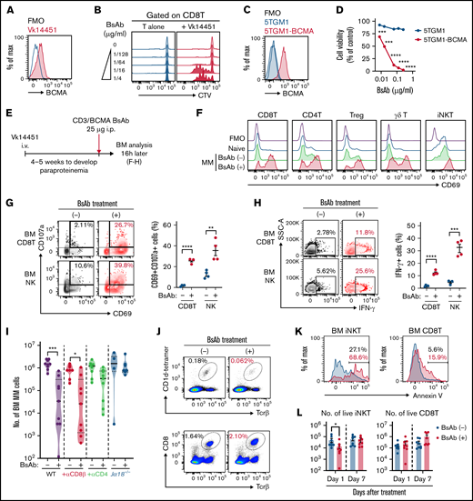 iNKT cells are critically necessary for antimyeloma immunity elicited by the CD3/BCMA BsAb. (A) The expression level of BCMA on Vk14451 myeloma cells. FMO indicates the fluorescence minus one controls. (B) CellTrace Violet (CTV)–labeled T cells were cocultured with Vk14451 cells for 3 days in the presence of indicated concentrations of the CD3/BCMA BsAb. CD8 T-cell proliferation. (C) Expression levels of BCMA on parental 5TGM1 cells and 5TGM1-BCMA cells . (D) Cell viability of 5TGM1 and 5TGM1-BCMA cells 2 days after coculture with T cells in the presence of indicated concentrations of the CD3/BCMA BsAb. (E) The experimental design. (F) Expression levels of CD69 in T cell subsets in the BM from naïve and tumor-bearing mice. (G-H) Flow cytometry showed the frequencies of CD8 T cells and NK cells expressing CD69 and CD107a (G) and IFN-γ (H) in the myeloma BM (n = 4). (I) WT mice and Jα18−/− mice were challenged with Vk14451 cells, and treated with a single dose of CD3/BCMA BsAb. WT mice were pretreated with anti-CD8β or anti-CD4–depleting mAb 3 days before BsAb treatment. Violin plots showing the number of BM tumor cells 2 weeks after treatment with the BsAb. The middle lines indicate the median values. Results are pooled from 2 experiments (n = 6-9). (J) Frequencies of live iNKT cells and CD8 T cells in the BM. (K) Frequencies of annexin V+ apoptotic cells in mice treated with the CD3/BCMA BsAb (red) or control (blue). (L) The number of live BM iNKT cells and CD8 T cells at the indicated time points after treatment (n = 8). (M-N) Tumor-bearing WT and Jα18−/− mice were treated with or without the CD3/BCMA BsAb, and BM CD8 T and NK cells were analyzed 16 hours after treatment. (M) Expression levels of CD69. Green histograms indicate the untreated control. (N) Frequencies of IFN-γ–producing cells. Results are pooled from 2 or 3 experiments (n = 6-10). Data are expressed as the mean ± SEM (D,G-H,L-N), and differences were tested for statistical significance using an unpaired Student t test (D,G-H), a Kruskal-Wallis test with Dunn's post hoc test (I), a Mann-Whitney U test (L), and 2-way analysis of variance with Sidak’s multiple comparison (M-N). *P < .05, **P < .01, ***P < .001, ****P < .0001.