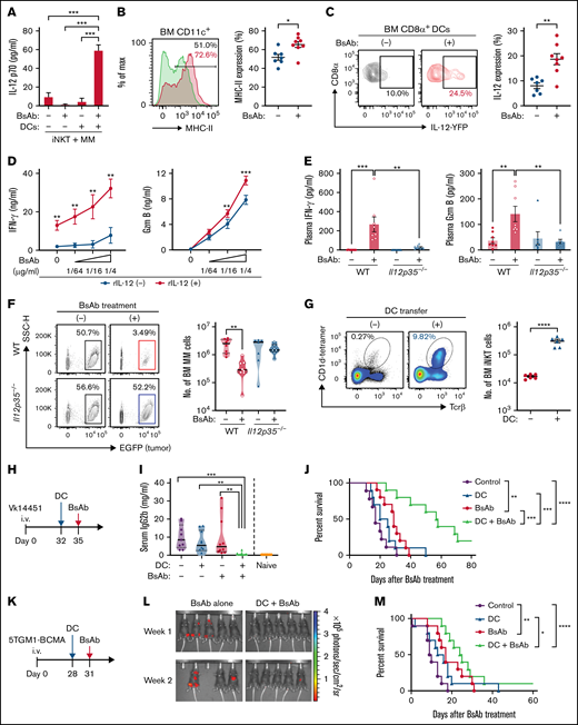 Expansion of iNKT cells dramatically improves therapeutic efficacy of the CD3/BCMA BsAb against myeloma. (A) Freshly isolated iNKT cells (2 × 105) were cocultured with Vk14451 cells (2 × 104) in the presence or absence of BM-derived DCs (1 × 105). The levels of IL-12p70 in culture supernatants were analyzed by enzyme-linked immunosorbent assay (ELISA) 24 hours after treatment. (B-C) Tumor-bearing IL-12-YFP reporter mice were treated with the CD3/BCMA BsAb. (B) Frequencies of BM CD11c cells expressing MHC-II. (C) Frequencies of BM CD8α+ DCs (gated on CD11c+MHC2+CD11b−CD8α+) expressing IL-12. Results are pooled from 2 experiments (n = 7-8). (D) Vk14451 cells were cocultured with B-cell–depleted splenocytes in the presence or absence of recombinant IL-12 (rIL-12, 0.5 ng/mL). The levels of IFN-γ and granzyme (Gzm) B in culture supernatants were analyzed by ELISA 48 hours after stimulation with indicated concentrations of the CD3/BCMA BsAb (n = 7). (E-F) Tumor-bearing WT and Il12p35−/− mice were treated with the CD3/BCMA BsAb. (E) Levels of IFN-γ (left) and Gzm B (right) in blood plasma 6 hours after treatment. (F) Tumor burden and violin plots showing the number of tumor cells in the BM 2 weeks after treatment. The middle lines indicate the median values. Results are pooled from 2 experiments (n = 7-8). (G) DCs were pulsed with α-GalCer overnight and IV injected into tumor-bearing mice (1 × 106). Representative plots (left) and graph (right) show expansion of iNKT cells in the myeloma BM 3 days after adoptive transfer. (H) The experimental design in the VK14451 myeloma model in C57BL/6 WT mice. (I) Serum levels of IgG2b 2 weeks after treatment. The middle lines indicate the median values. Serum IgG2b levels in naïve mice (n = 7) are shown as reference ranges. (J) Kaplan-Meier survival curves of mice after indicated treatment. Results are pooled from 2 experiments (n = 9-10 per group). (K) The experimental design in the 5TGM1-BCMA myeloma model in C57BL/KaLwRij mice. (L) Bioluminescence images showing tumor lesions in mice at the indicated time points after therapy. (M) Kaplan-Meier survival curves of mice after the indicated treatment. Results are pooled from 2 experiments (n = 10 per group). Data are expressed as the mean ± SEM (A-E,G). Differences were tested for statistical significance with a 2-way analysis of variance with Sidak’s multiple-comparisons test (A,E), an unpaired t test (B-C,G), paired t test (D), Kruskal-Wallis test with Dunn’s post hoc test (F,I), and Mantel-Cox test (J,M). *P < .05, **P < .01, ***P < .001, ****P < .0001.