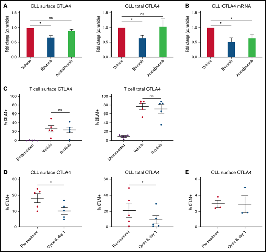Ibrutinib suppresses CLL-expressed CTLA4. (A) CLL cells were treated with 1 μM ibrutinib or acalabrutinib for 1 hour before washing and coculture with activated T cells. CTLA4 expression on CLL cells was measured 48 hours later by surface and intracellular flow cytometry (n = 10 ibrutinib, 7-8 acalabrutinib). (B) CLL cells were treated with 1 μM ibrutinib or acalabrutinib for 1 hour before washing. CTLA4 mRNA levels were measured 48 hours later by qPCR (n = 18 ibrutinib, 14 acalabrutinib). (C) T cells were treated with 1 μM ibrutinib or acalabrutinib for 1 hour before washing and stimulation with 10 μg/mL anti-CD3 adsorbed onto the plate surface and 1 μg/mL anti-CD28. CTLA4 expression was measured by surface and intracellular flow cytometry after 48 hours of stimulation (n = 5). (D) Matched primary CLL leukemia samples were obtained from patients before treatment and after 5 months of ibrutinib treatment. CLL cells were cocultured with allogeneic activated T cells. CTLA4 expression was measured after 48 hours using surface and intracellular flow cytometry (n = 5). (E) Matched primary CLL leukemia samples were obtained from patients before treatment and after 5 months of acalabrutinib treatment. CLL cells were cocultured with allogeneic activated T cells. CTLA4 expression was measured after 48 hours using surface and intracellular flow cytometry (n = 3). Graphs show mean ± standard error of the mean. *P < .05 by mixed effect modeling (A-C) or paired t-test (D-E). ns, not significant.