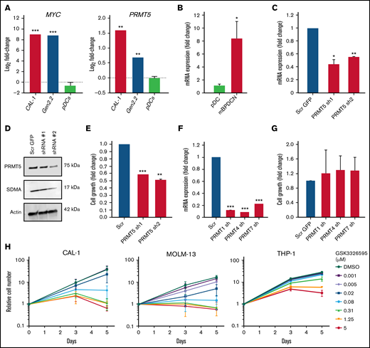 PRMT5 is highly expressed in BPDCN, and its inhibition perturbs cell growth. (A) BPDCN cell lines (CAL-1 and Gen2.2) express elevated levels of MYC and PRMT5 as compared with healthy pDCs. (B) High levels of PRMT5 in de novo BPDCN mouse model (TET2 Δ/Δ P53 Δ/Δ DKO + MYC RUNX2 OE). (C) mRNA and (D) protein expression of PRMT5 after 72 hours of shRNA KD. (E) Growth of CAL-1 after PRMT5 KD, cell counts normalized to scrambled. (F) mRNA expression of PRMTs, 72 hours after shRNA KD. (G) Growth of CAL-1 after PRMT1, 4, or 7 KD, cell counts normalized to scrambled. (H) A dose-dependent decrease in CAL-1, MOLM-13, and THP-1 growth 72 hours after GSK595 treatment. Data are shown as mean ± standard error of the mean of 3 independent experiments. *P < .05; **P < .01; ***P < .001.