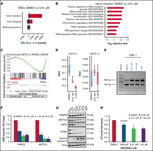 PRMT5 inhibition causes increased IR in genes associated with RNA methylation. (A) Increase in IR events in the treated group compared to the DMSO control group. (B) Biological processes are overrepresented among genes with increased IR. (C) GSEA plots illustrating gene sets affected by GSK595 treatment. (D) Decrease in expression of genes associated with RNA methylation after treatment with GSK595 (0.31 and 5 µM). (E) A dose-dependent increase in IR transcripts of METTL3 after PRMT5 inhibition. Decrease in (F) mRNA expression of PRMT5 and METTL3 (normalized to DMSO) and (G) protein levels of PRMT5, METTL3, MYC, and cleaved caspase-3 after GSK595 treatment. (H) Dose-dependent reduction in m6A activity in treated cells normalized to DMSO. Data are shown as mean ± standard error of the mean of 3 independent experiments. *P < .05; **P < .01. GSEA, gene set enrichment.