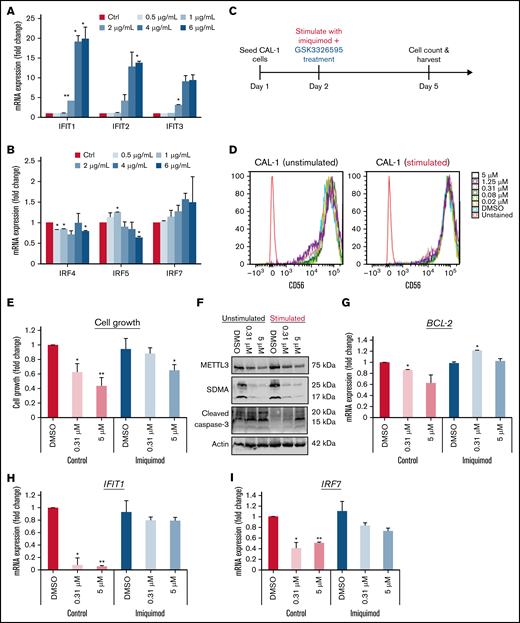 Stimulation with TLR7 agonist impairs the response of CAL-1 to GSK3326595. Gene expression of (A) IFITs and (B) IRFs after stimulation with imiquimod. (C) Schematic illustration of the dual treatment regimen. (D) Phenotypic analysis of BPDCN surface markers after dual treatment (imiquimod + GSK595). (E) CAL-1 growth after stimulation with imiquimod and concurrent treatment with GSK595. (F) Lack of apoptosis activation upon treatment in imiquimod-stimulated cells. Gene expression of (G) BCL-2, (H) IFIT1, and (I) IRF7 after imiquimod stimulation and GSK595 treatment (normalized to WT DMSO). Data are shown as mean ± standard error of the mean of 3 independent experiments. *P < .05; **P < .01; P < .001.
