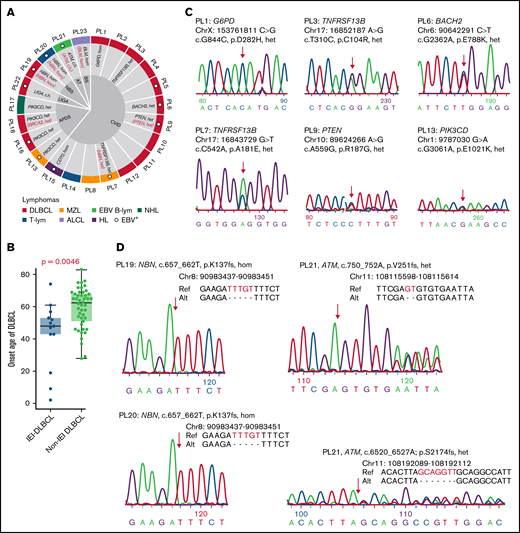 Germline mutations that underlie IEI and lymphoma. (A) Patient information and germline disease-causing or -associated genes are shown. IEI-causing or -associated genes are labeled in black. Cancer-causing or -associated genes are labeled in red. (B) A comparison of DLBCL onset ages between IEI and non-IEI patients. For the non-IEI cohort, HBsAg+ patients were excluded as these patients have previously been shown to have a younger age at diagnosis and distinct mutational patterns.44 (C-D) Newly identified disease-causing or -associated mutations were validated by Sanger sequencing. Alt, alteration; c.h., compound heterozygous; EBV B-lym, EBV-associated B-cell lymphoma; het, heterozygous; hom, homozygous; LIG4, LIG4 syndrome; Ref, reference; T-lym, T-cell lymphoma.