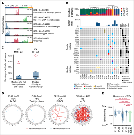 Mutational signatures and structural variants in lymphomas derived from IEI patients. (A) Mutational signatures of IEI-lymphoma genomes. Each signature is displayed according to the 96 substitution classifications defined by the substitution class (shown in different colors) and sequence context immediately 3′ and 5′ to the mutated base. The 96 possible mutated trinucleotides are located on the x-axis, and the frequency of the mutation type is shown on the y-axis. (B) Hierarchical clustering of IEI lymphomas based on the percentages of mutational signatures. DNA repair-related somatic and germline mutations identified in each tumor are shown below. (C) Percentages of specific types of somatic indels in PL4 and PL17. (D) SV of WGS-sequenced IEI lymphomas. (E) Comparison of the location of SV breakpoints at early and late replication sites between IEI and non-IEI patients. BER, base excision repair; DDR, DNA damage response; LIG4, LIG4 syndrome; MMR, mismatch repair; NER, nucleotide excision repair; NHEJ, nonhomologous end joining.